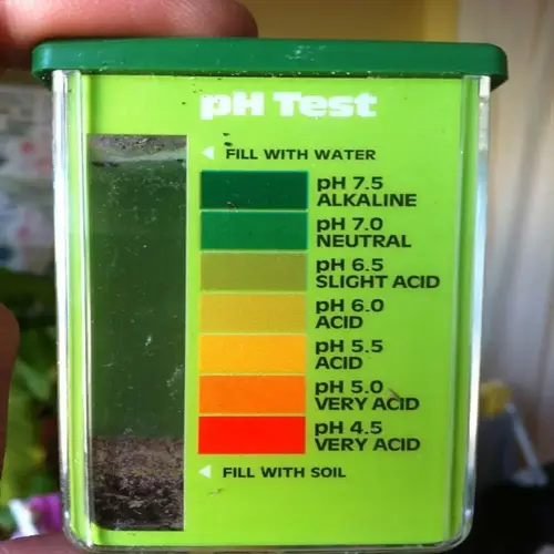 ph test kit for soil ph testing in a garden, showing soil sample and color chart