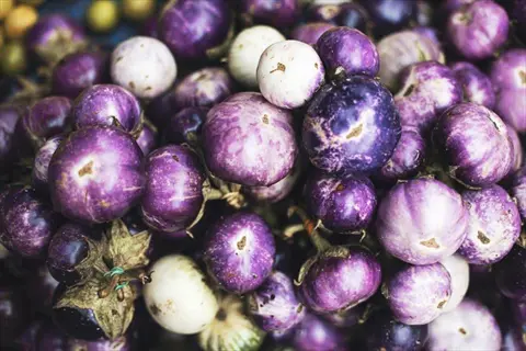 pile of various eggplants featuring the 'rosa bianca' heirloom variety with distinctive purple - white mottled skin and round shape