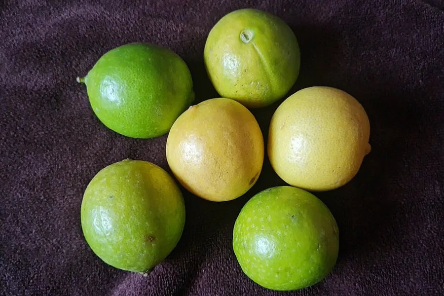 Key Lime