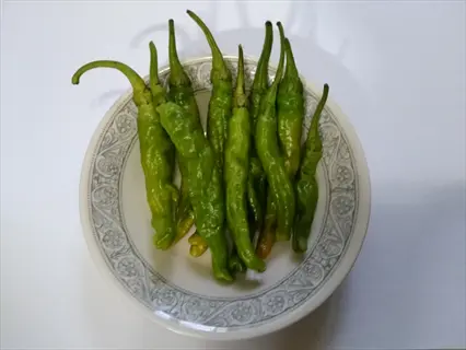 plate of green shishito peppers arranged neatly on a decorative white plate against a plain background
