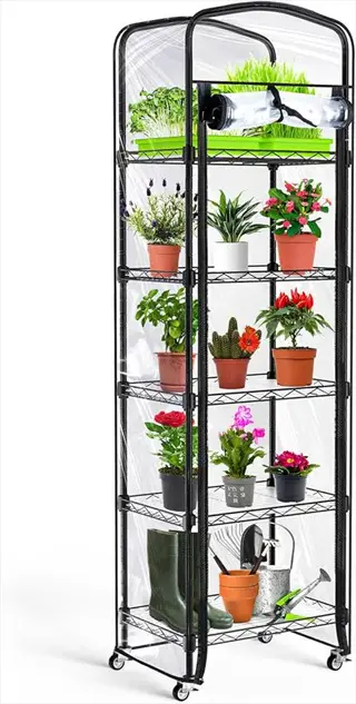portable mini greenhouse with multi-tier seedling shelves, housing potted plants, gardening tools, and seed trays under a clear cover