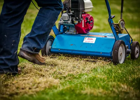 powered lawn dethatching rake machine addressing thatch accumulation on a residential lawn