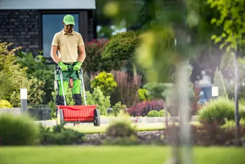 professional applying strategic fall fertilization using a lawn fertilizer spreader in a lush garden with colorful plants and shrubs