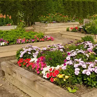 raised garden beds with colorful flowers in an outdoor garden setting