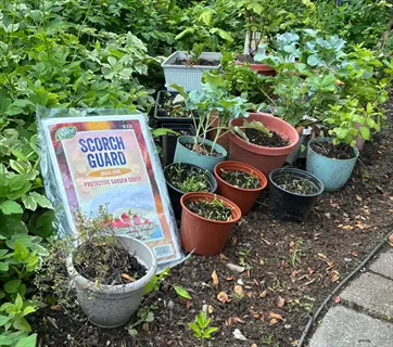 scorch guard shade cloth package among potted garden seedlings in an outdoor garden, visible product text on packaging with greenery background