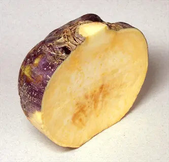sliced altasweet sweet yellow rutabaga with purple-tinged skin and pale yellow flesh
