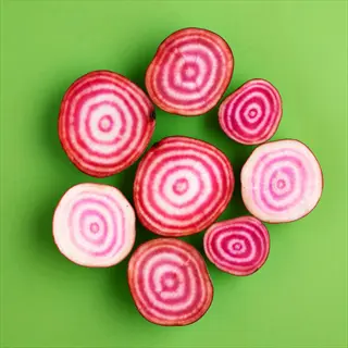 sliced chioggia beets arranged in circular pattern, showcasing vibrant pink-and-white bull's-eye pattern against green background