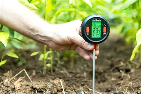 soil ph test in garden using digital tester with readings