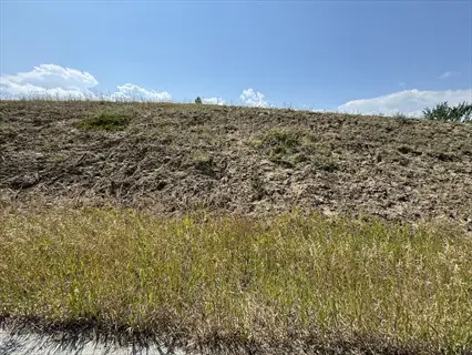 sunlit sloped terrain featuring creeping juniper ground cover, sparse vegetation, and a blue sky with clouds