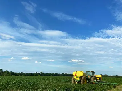 tractor side-dressing (fertilizing) corn plants in a lush green field under a bright blue sky with scattered clouds