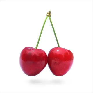 two ripe stella cherry tree fruits with green stems, isolated on a white background