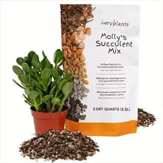 veryplants molly's succulent mix bag with jade plant and gritty succulent soil perlite mix piles, designed for three-part standard recipe drainage
