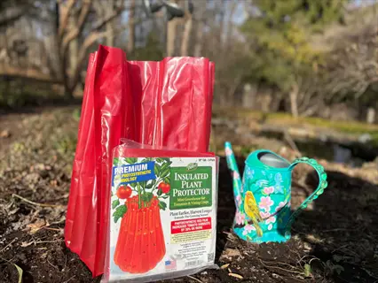 wall-o-water plant protector (red) with packaging labeled 'premium insulated plant protector' next to a decorative watering can on outdoor soil