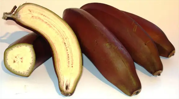 whole and split open red dacca red banana fruit showing creamy yellow interior flesh on white background