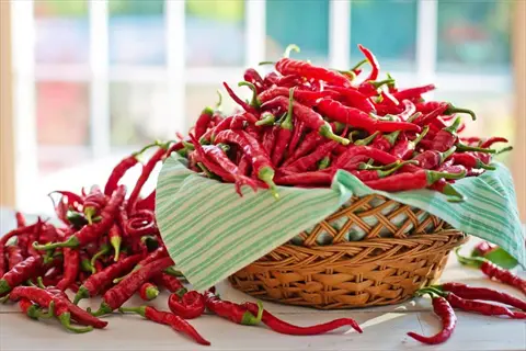 wicker basket overflowing with vibrant red cayenne peppers and scattered peppers on a table by a sunlit window