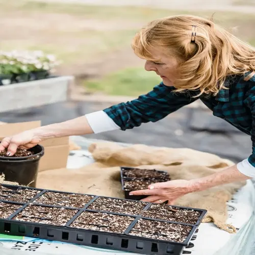 woman handling soil-filled seedling trays in outdoor garden, burlap sack and potted plants in background