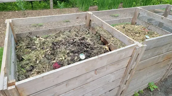 wooden compost bins with layers of organic material and thermometers in an outdoor garden setting